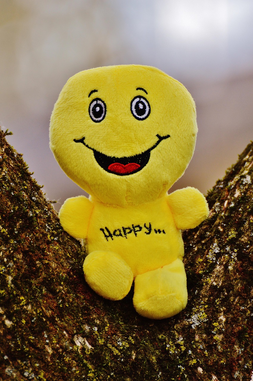 happy, smiley, laugh, fun, emoticon, emotion, yellow, green, pleasure, cute, good mood, smile, day, begin, beginning, positive, courage, life is beautiful, happiness, enjoyment of life, laugh face, happy nature, encouragement, keep smiling, funny, plush, love, valentine's day